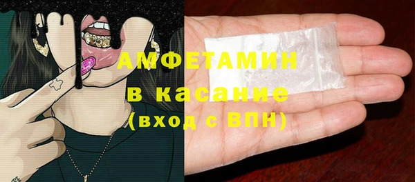 прущие грибы Мегион