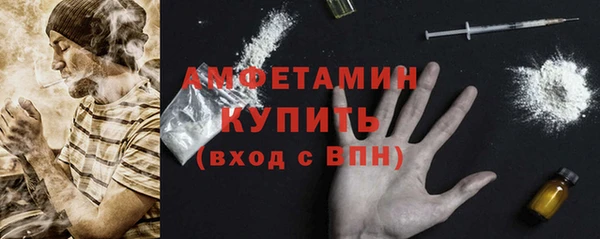 прущие грибы Мегион