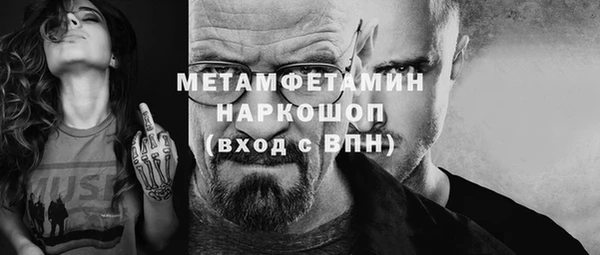 прущие грибы Мегион