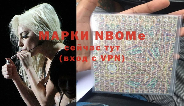 прущие грибы Мегион