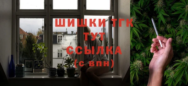 прущие грибы Мегион